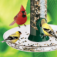 Bird Feeder Seed Trays